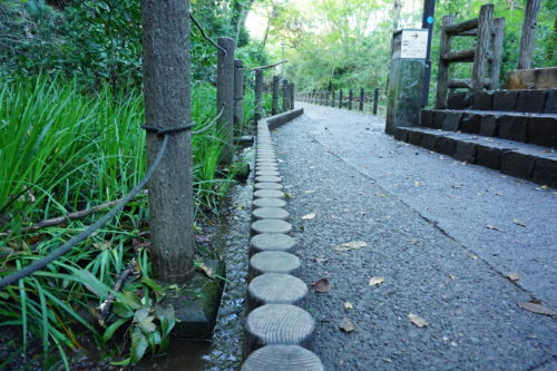 小さな水路